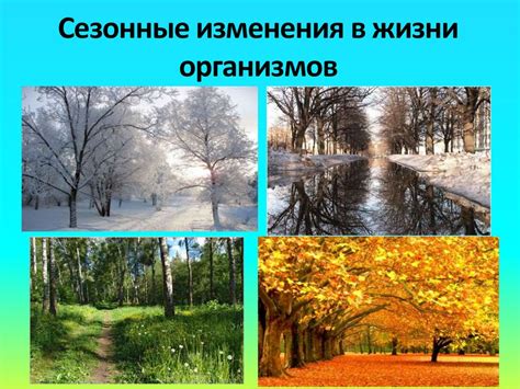 Сезонные изменения в рационе