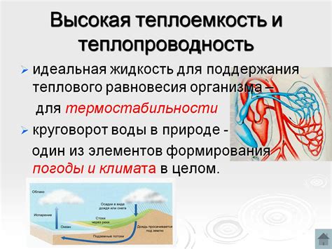 Слишком высокая или низкая температура воды