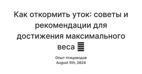 Советы и рекомендации для максимального опыта