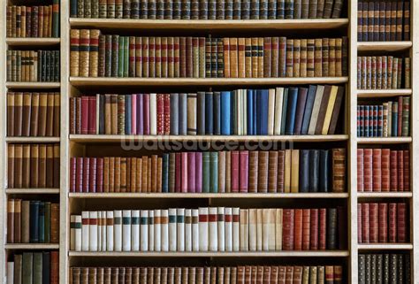 Создание и организация плейлистов с книгами