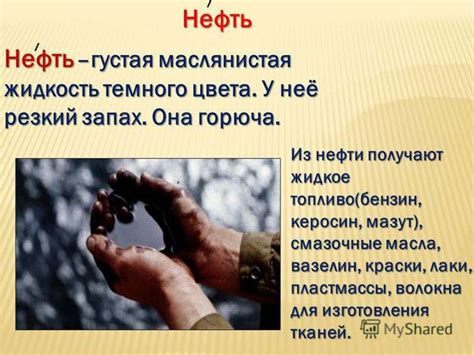 Способы предотвращения вытаскивания подстилки из будки