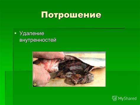 Удаление внутренностей из гузки