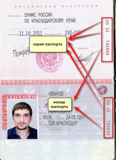 Узнайте серию и номер паспорта за несколько минут