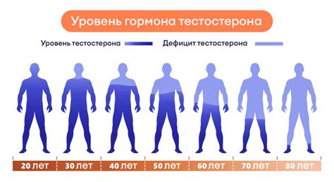 Уровень тестостерона и эстрогена