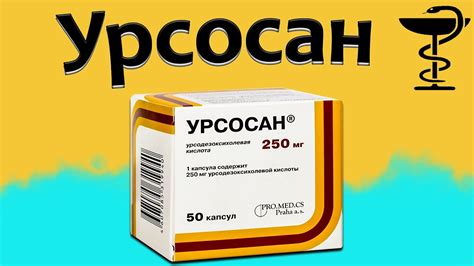 Урсосан и функция пищеварения