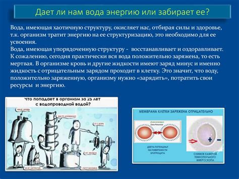 Факторы, определяющие безопасное использование клинка