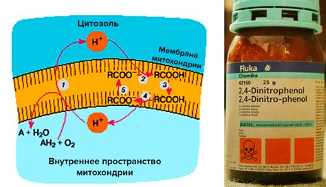 Фуллерены в электронике