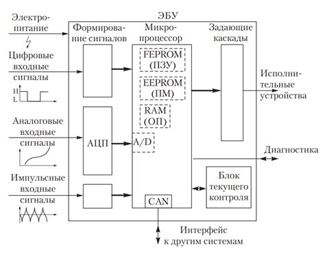 Что такое ЭБУ и для чего он нужен