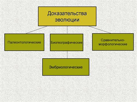 Эволюционный процесс у шпицев