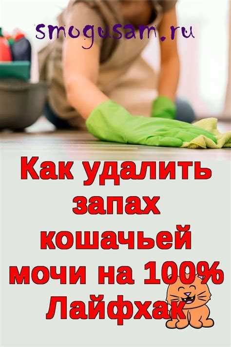 Эффективные способы удаления запаха