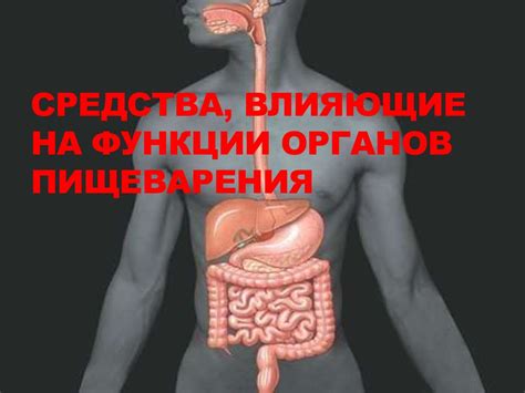 Эффект пищеварения на телесную температуру