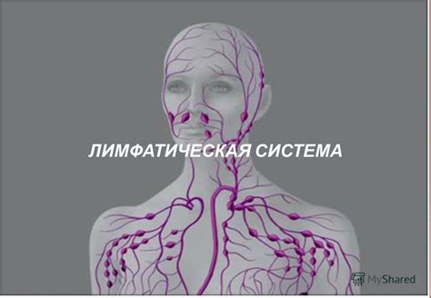 Альтернативные методы лечения и ухода за лимфатическими узлами в области ушей