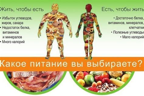 Белковое богатство сушеной рыбы – главное преимущество диеты Дюкана
