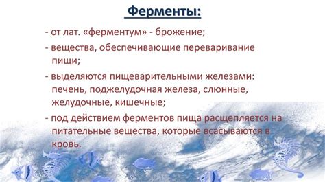 Большое значение медленного поглощения пищи для оценки насыщения