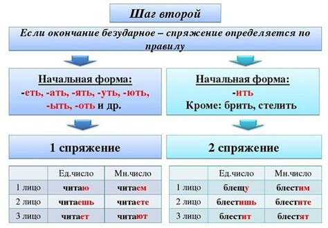 Взаимосвязь глагола с персоной и числом: основные правила и исключительные ситуации