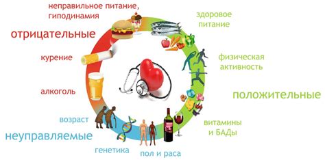 Взаимосвязь сидения за компьютером и риск развития сердечно-сосудистых заболеваний