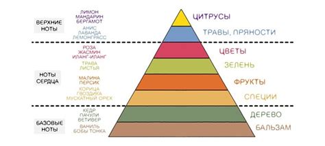 Виды мест: верхние, нижние и средние