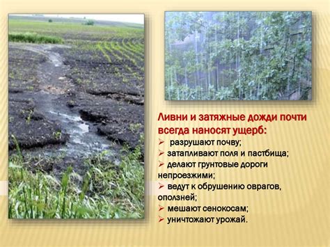 Влияние климата и ландшафта на густоту населения и наличие насекомых в регионах