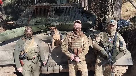 Влияние обжаренных грибов на сновидения у представительниц прекрасного пола