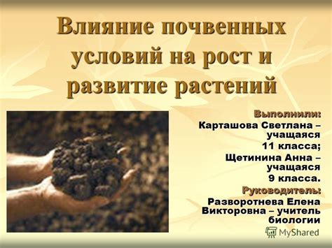 Влияние природных условий на рост и развитие верблюжьей колючки