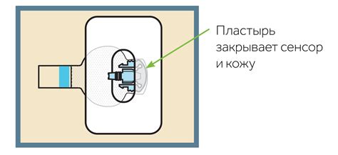 Влияние расположения сенсора холода на энергоэффективность бытового отделения Беко