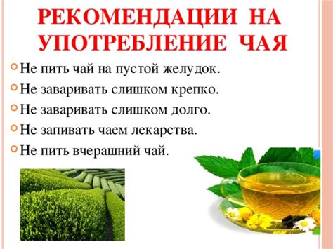 Влияние чая с имбирными листьями на организм