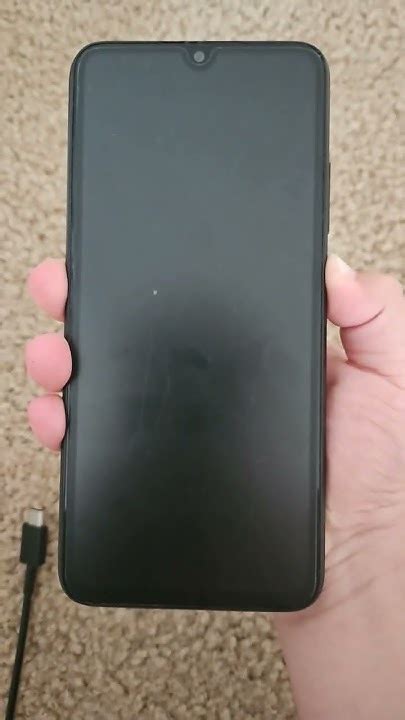 Возможные последствия наличия пингвина на дисплее устройства Xiaomi