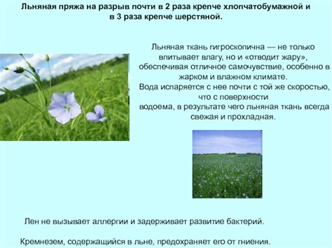 Впитывает и отводит влагу