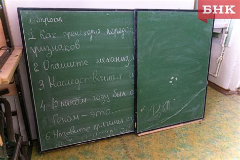 Значение информационного портрета для изучения обществознания в 6 классе