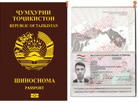 Значимость указания места происхождения в таджикском паспорте