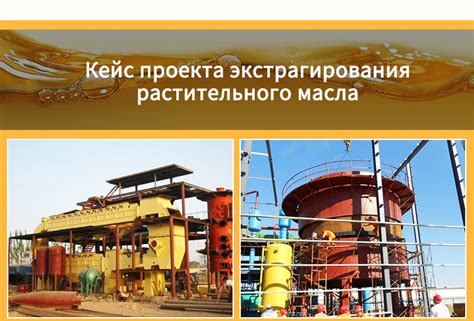 Извлечение глицерина из растительного масла: уникальная методика