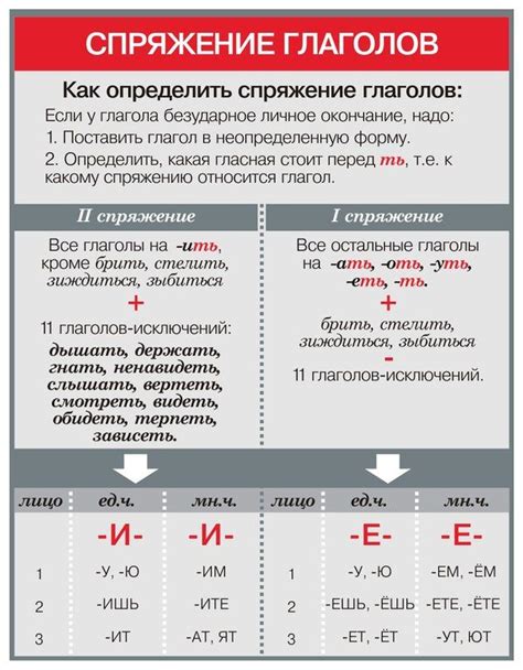 Изменение глагола в русском языке: различия в разных лицах и числах