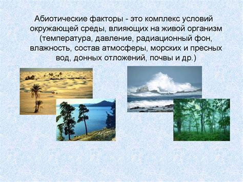 Климатические и экологические особенности морской среды