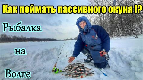 Лучшие способы разбавки