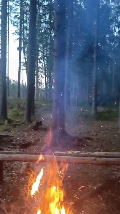 Материалы и инструменты для активного времяпровождения возле костра