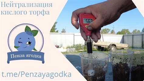 Места с наибольшим содержанием кислого торфа в окружающем природном ландшафте