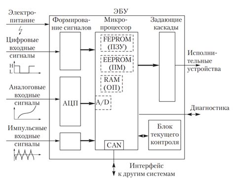 Обзор компонентов, взаимодействующих с электронной системой управления