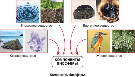 Общие сведения о Кразе и его основных компонентах