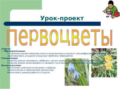Ознакомление с разнообразием модификаций и их воздействие на игровой процесс