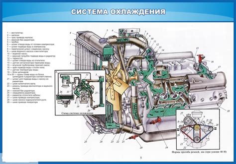 Определение номера двигателя ДАФ 95 в транспортном паспорте