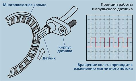 Основные аспекты расположения датчика важного двигательного компонента