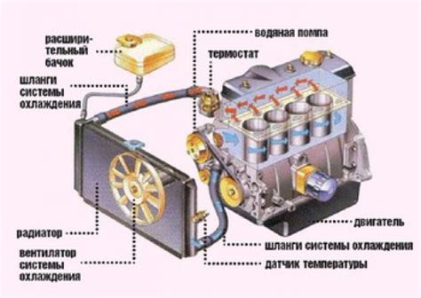 Основные компоненты системы охлаждения на автомобиле ГАЗон Некст