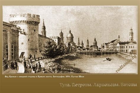 Особенности и история птичьего базара Тулы