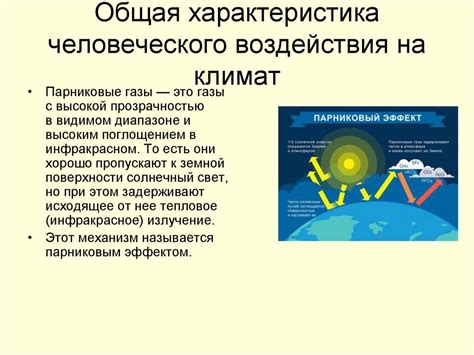 Особенности климата: воздействие на наличие комаров в октябре
