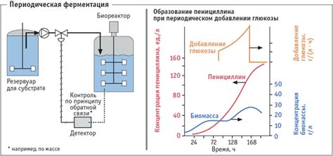 Ошибки в процессе ферментации