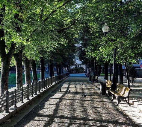 Патриаршие привлекают туристов и жителей Москвы: известное место отдыха и прогулок