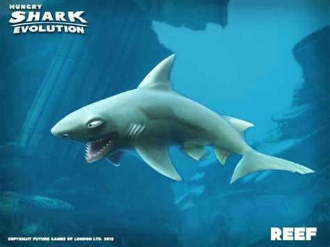 Погрузитесь в мир акул и ощутите адреналин в захватывающей игре Hungry Shark World