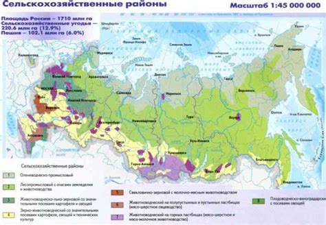 Подводные районы: где обнаружить точки появления экзотических плодов