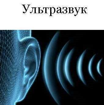 Применение ультразвука в медицине и промышленности