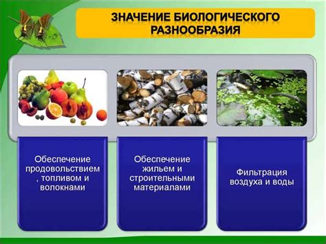 Проблема загрязнения и опасности для сохранения биоразнообразия